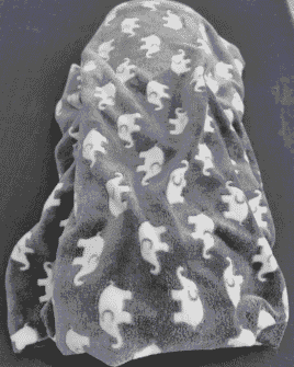 tissu elephant