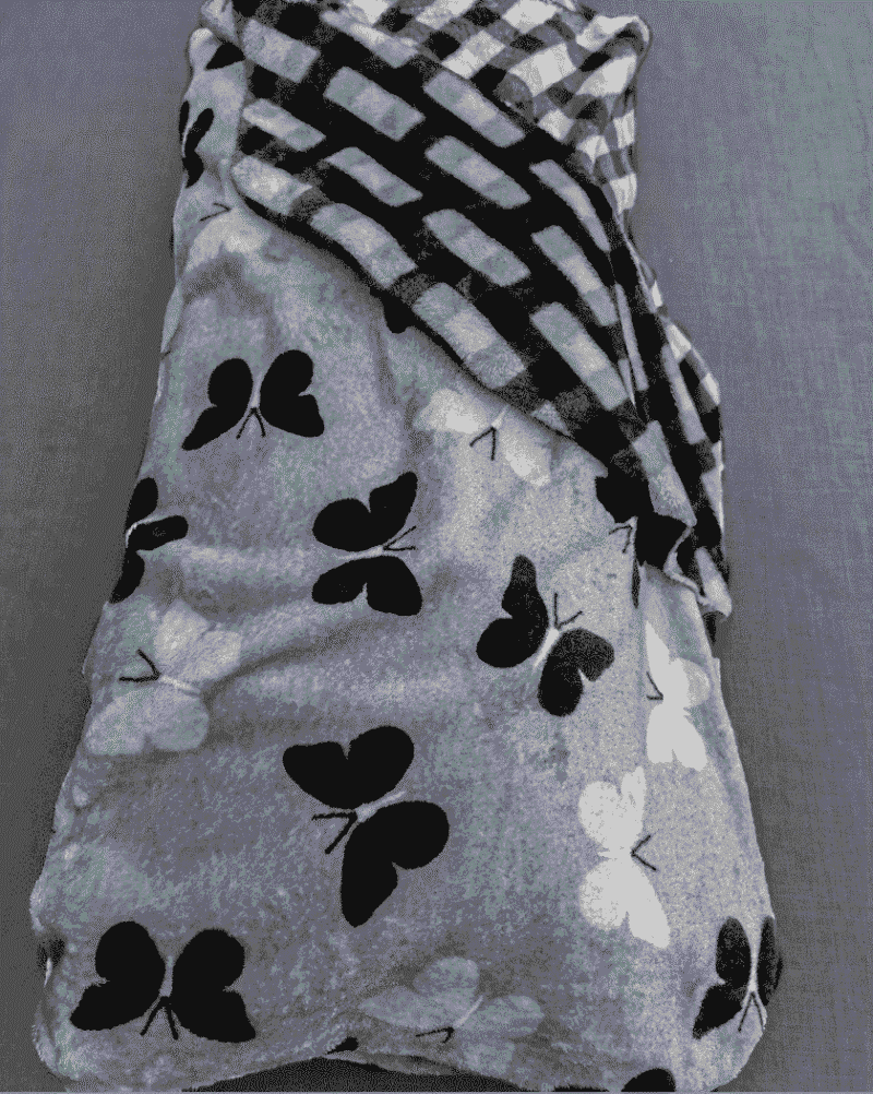 tissus papillon