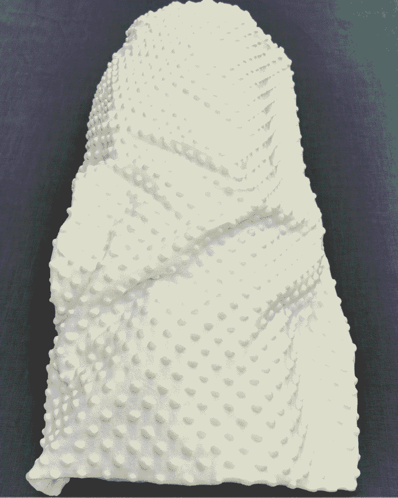 tissu minky blanc
