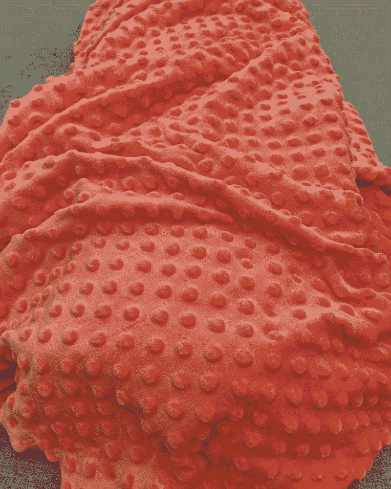 tissu minky corail