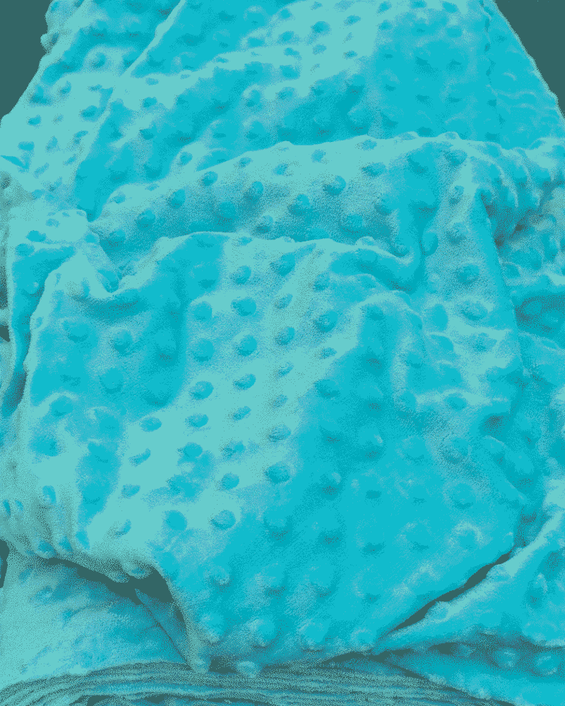 Minky Bleu Azur