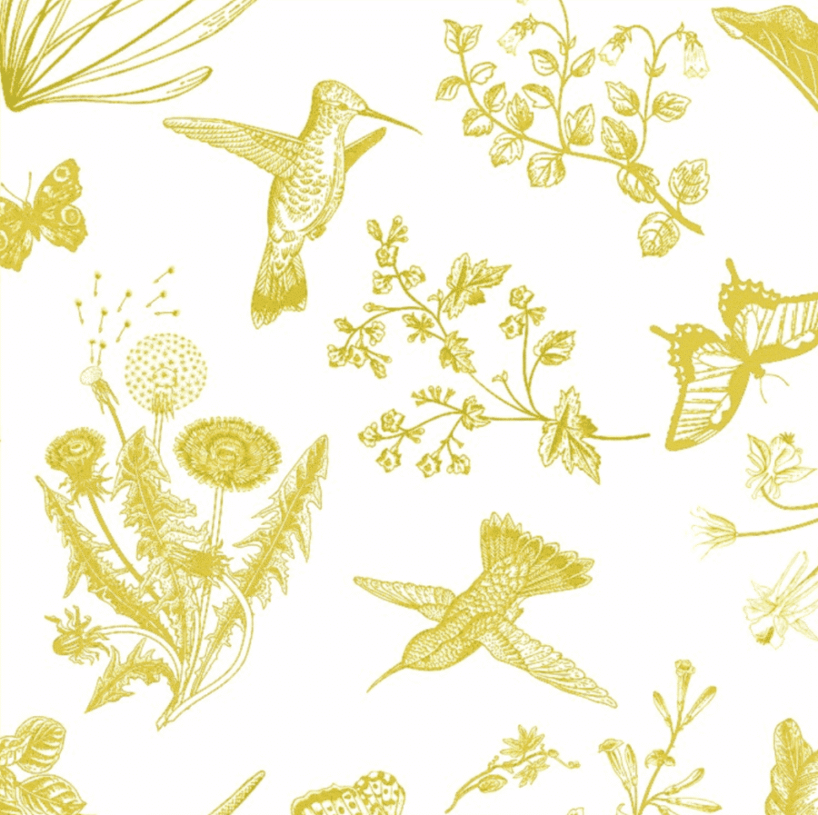 nappe toile de jouy colibri jaune