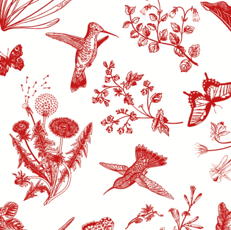 Nappe Toile de Jouy Colibri avec Serviettes : 4 Coloris – Image 3