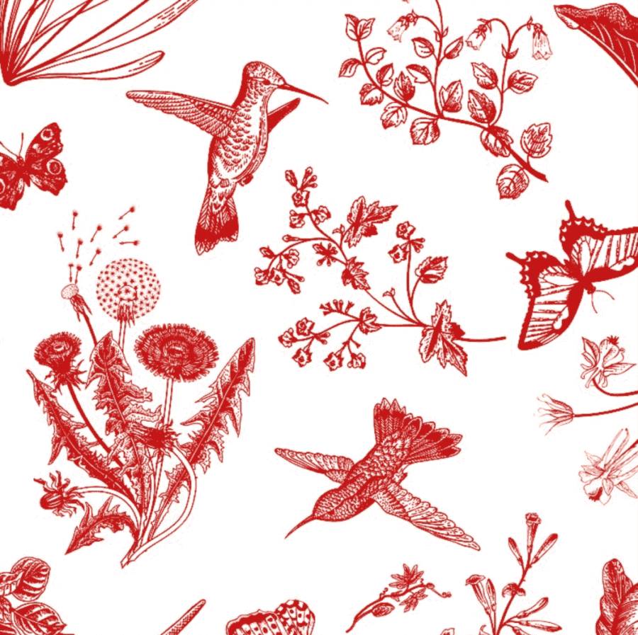 Nappe Toile de Jouy Colibri avec Serviettes : 4 Coloris – Image 3