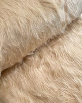 Tissu fausse fourrure poil long beige